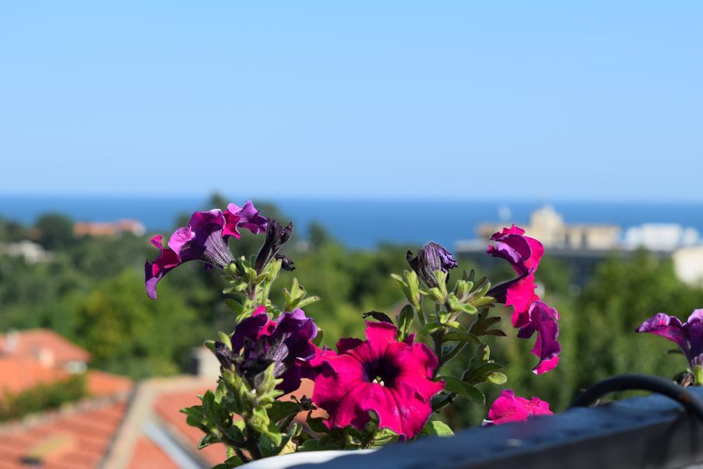 Boutique Villa Rosa Dei Venti Balchik Exterior photo